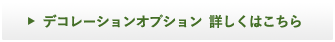 デコレーションオプション 詳しくはこちら