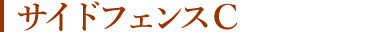 サイドフェンスC