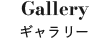 ギャラリー