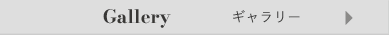 ギャラリー