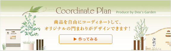 Coordinate Plan