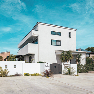 ボタニカルな植栽と 白い壁のコントラスト